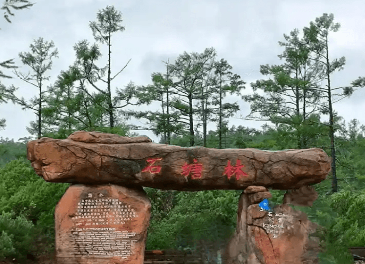 stone-forest
