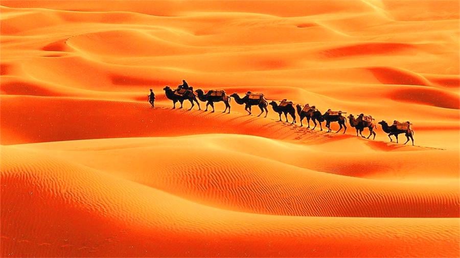 dawakun-desert