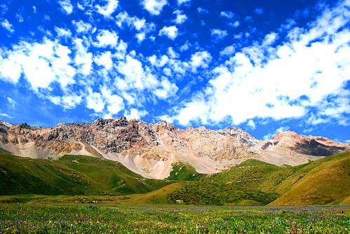 naryn