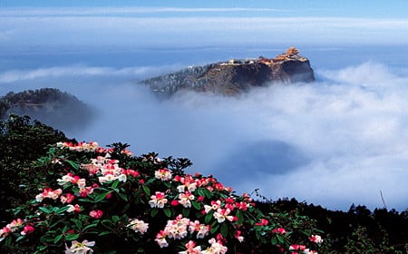 6-days-in-depth-discovery-around-chengdu-1
