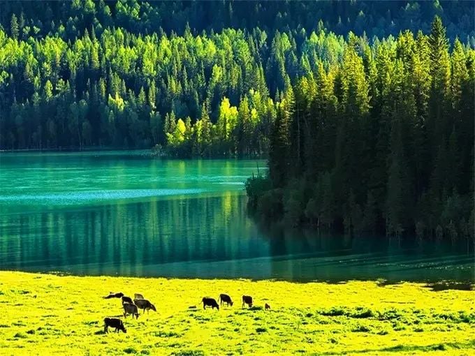 16-days-xinjiang-kashgar-kanas-ili