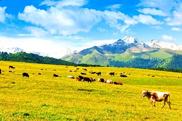 travel-to-gansu-xinjiang-by-bullet-train