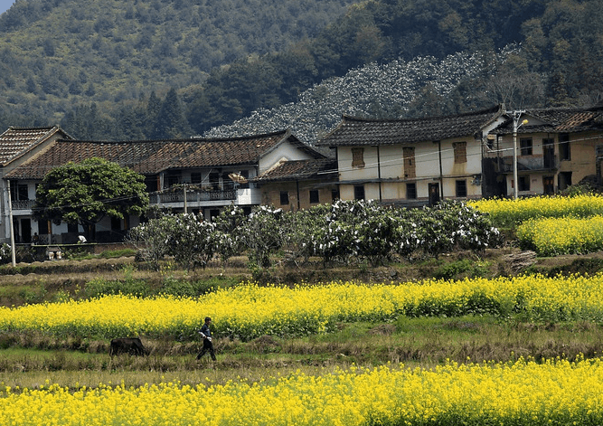 aobing-village
