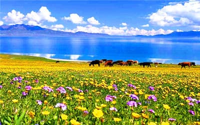 Sayram Lake Yining.jpg Sayram Lake Yining.jpg