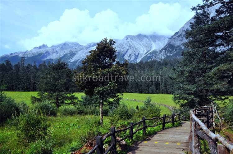 ganhaizi meadow.jpg ganhaizi meadow.jpg