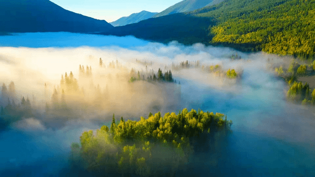 fairy bay.png fairy bay.png
