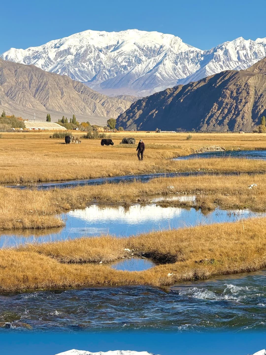 plateau wetland.jpg plateau wetland.jpg