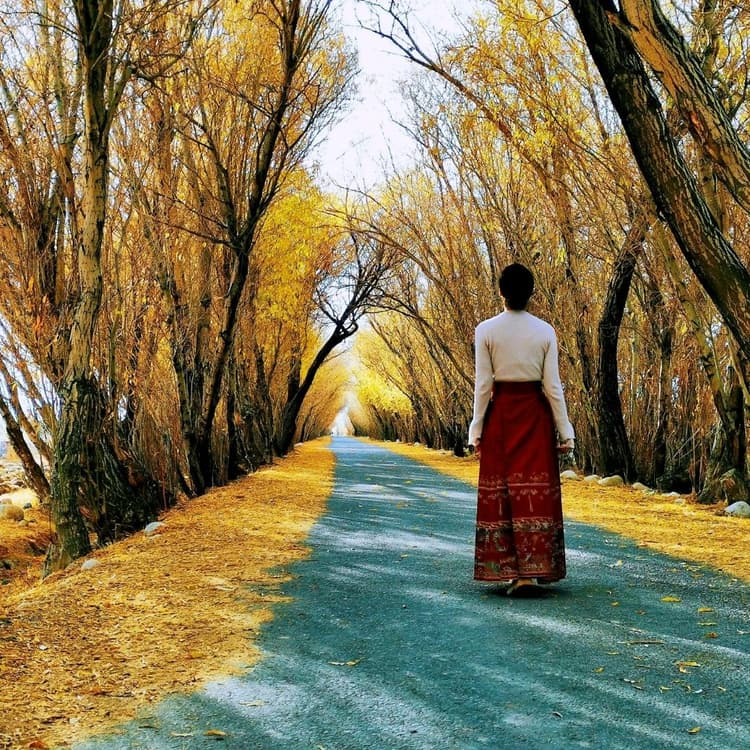 autumn.jpg autumn.jpg