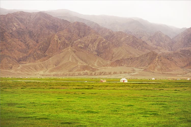 pamir grassland.jpg pamir grassland.jpg