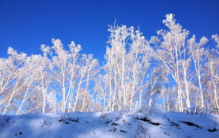 Winter.jpg Winter.jpg