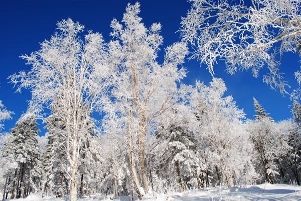 changbai mountain 5.jpg changbai mountain 5.jpg