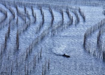 Shajiang S Bay Shajiang S Bay