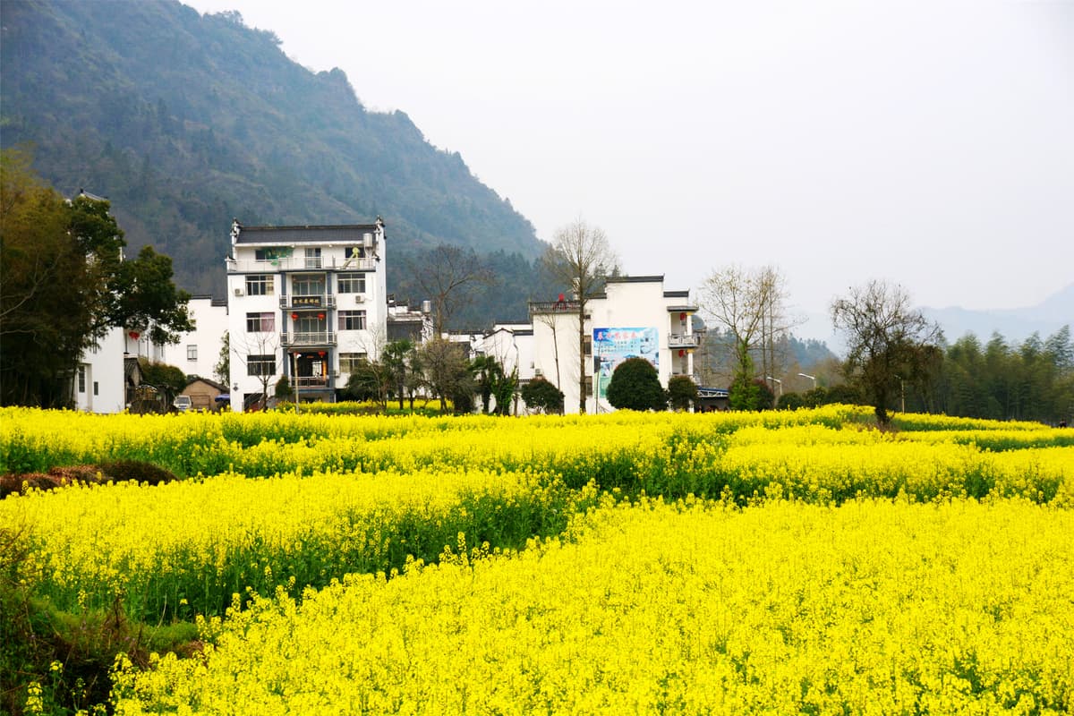 Huangshan Spring Huangshan Spring