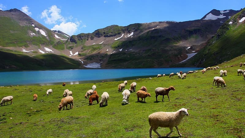 Deosai National Park-1.jpg Deosai National Park-1.jpg
