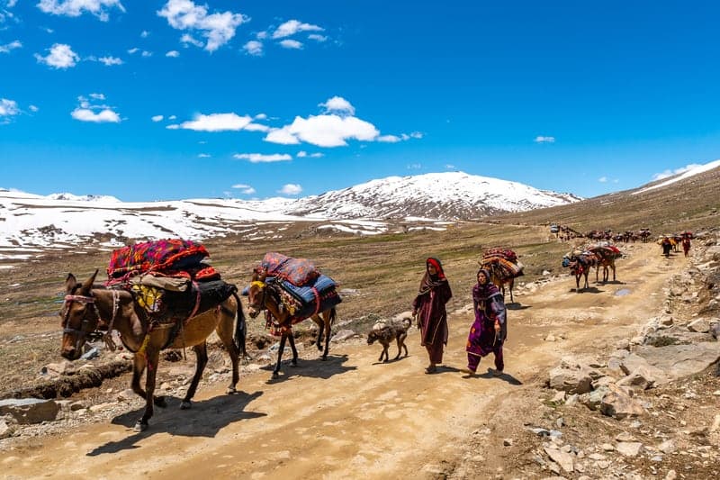 Deosai National Park-2.jpg Deosai National Park-2.jpg
