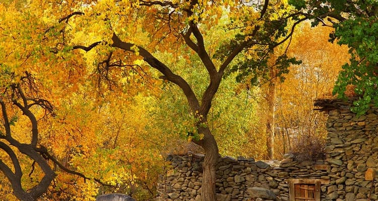 Hunza Valley-4.jpg Hunza Valley-4.jpg