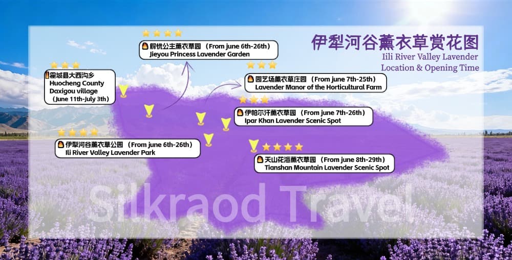 Ili lavender opening time.jpg Ili lavender opening time.jpg
