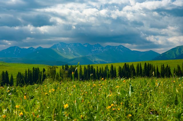 xinjiang summer.jpg xinjiang summer.jpg