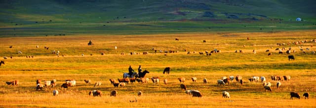 xinjiang travel guide.jpg xinjiang travel guide.jpg