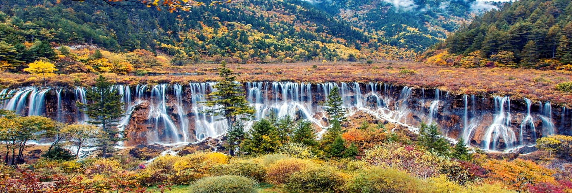 sichuan-back sichuan-back
