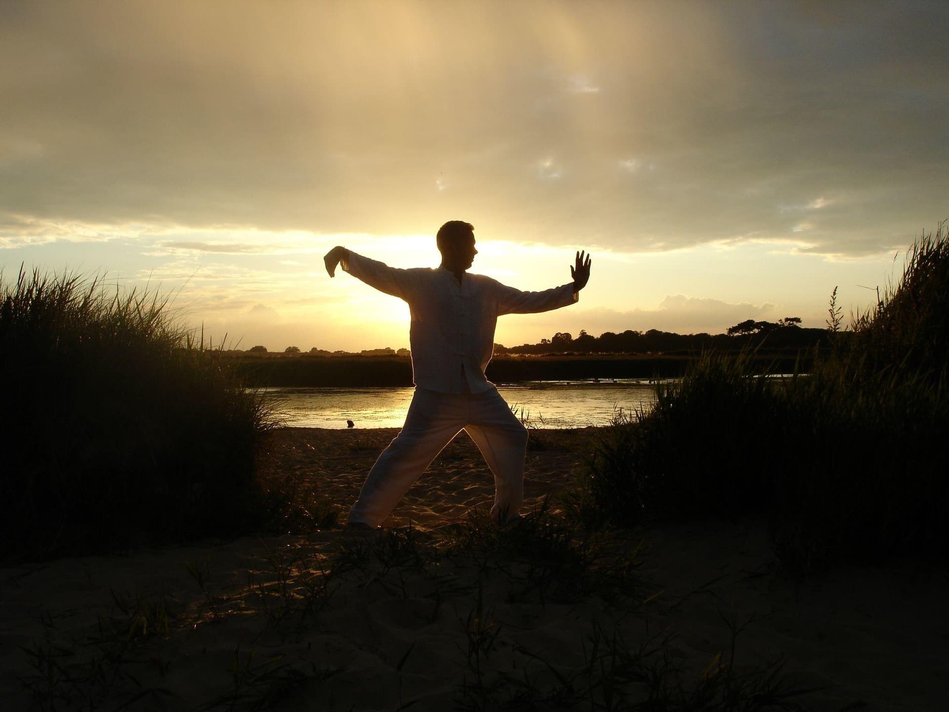 tai-chi tai-chi