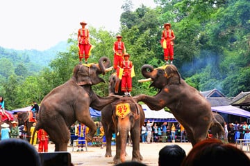 9-days-yunnan-adventure-to-leaping-gorge-and-xishuangbanna 9-days-yunnan-adventure-to-leaping-gorge-and-xishuangbanna