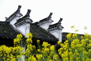 4-day-jiangxi-tour-discover-wangxiangu-wuyuan-jingdezhen-sanqingshan-highlights 4-day-jiangxi-tour-discover-wangxiangu-wuyuan-jingdezhen-sanqingshan-highlights