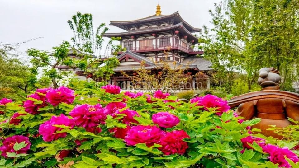7-days-china-henan-heritage-tour-to-luoyang-and-kaifeng 7-days-china-henan-heritage-tour-to-luoyang-and-kaifeng