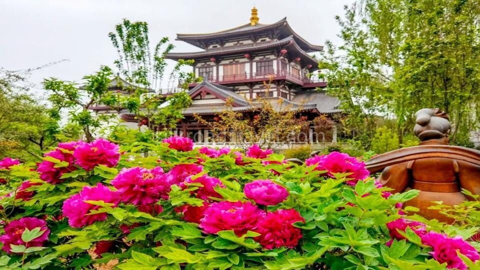 7-days-china-henan-heritage-tour-to-luoyang-and-kaifeng 7-days-china-henan-heritage-tour-to-luoyang-and-kaifeng