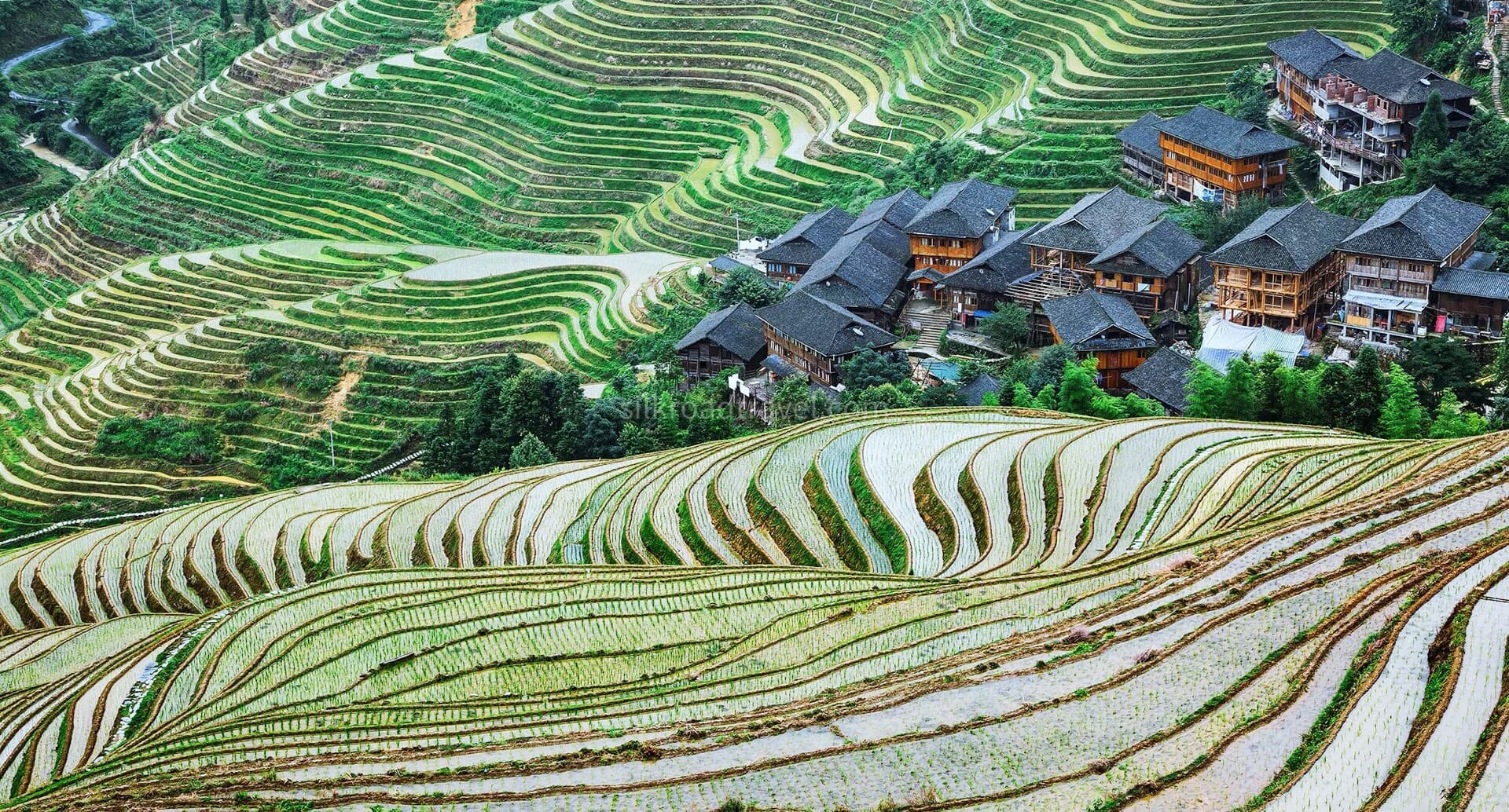 longji-rice-terraces longji-rice-terraces