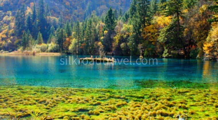 15-Day Classic Tour of Nanning,Chengdu,and Xi’an 15-Day Classic Tour of Nanning,Chengdu,and Xi’an