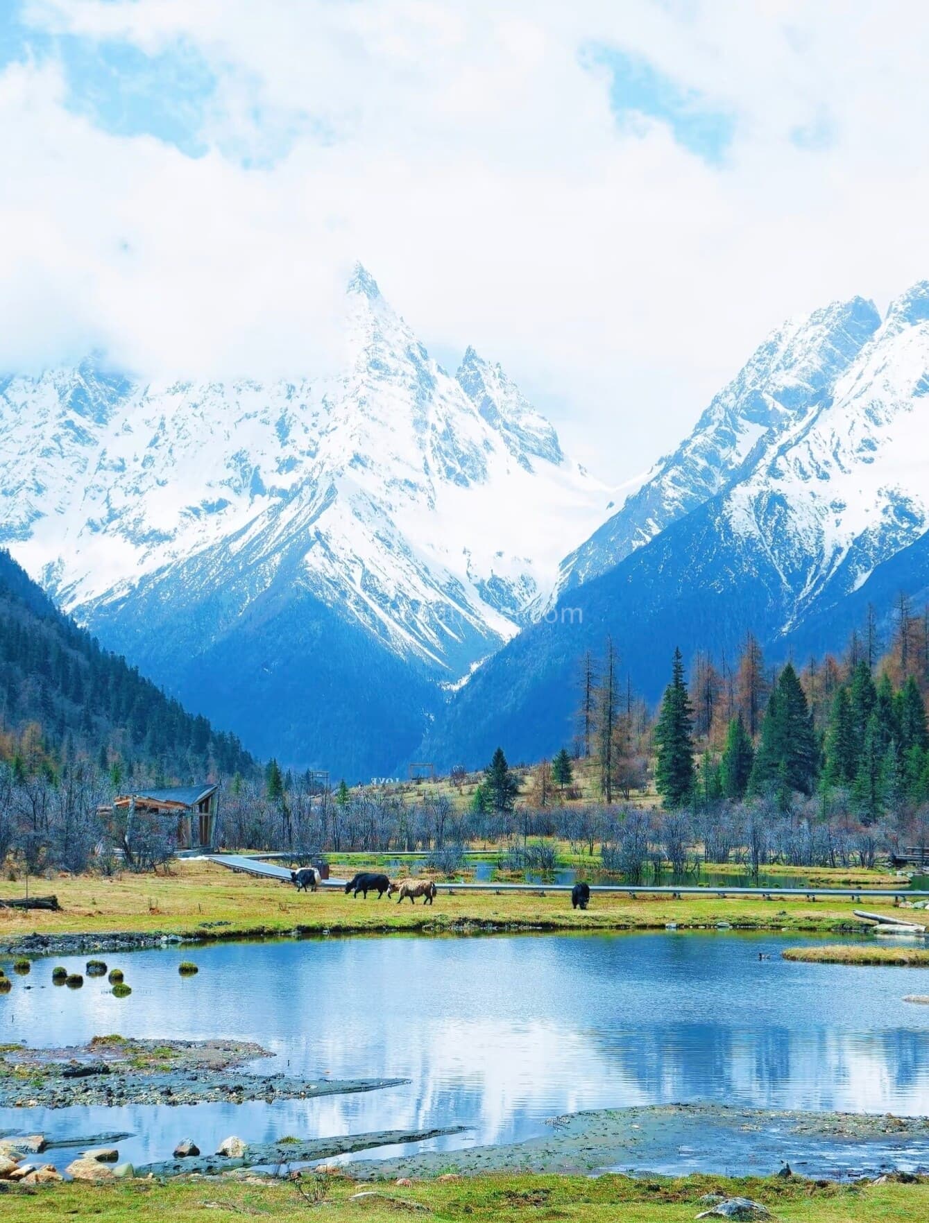 shuangqiaogou-valley shuangqiaogou-valley