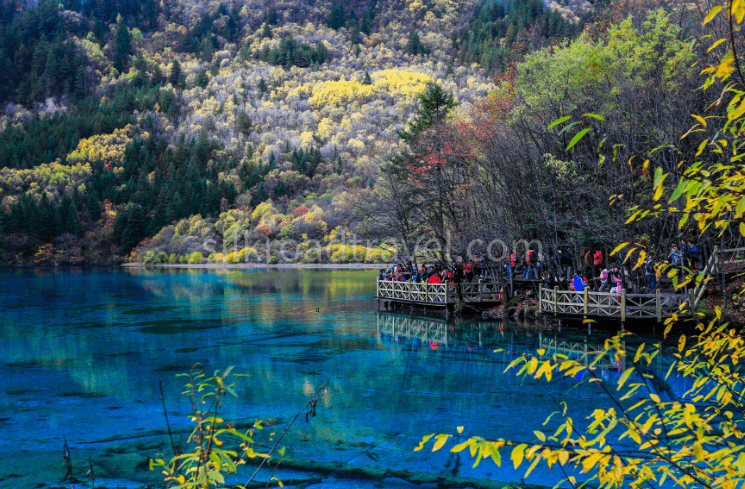 five-flower-lake five-flower-lake