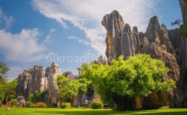 stone-forest stone-forest