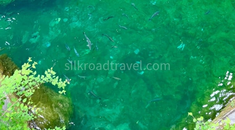 10 Days Shanxi Culture & Nature Discovery Tour 10 Days Shanxi Culture & Nature Discovery Tour