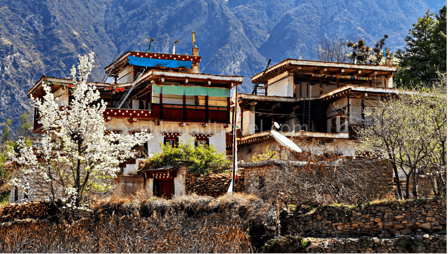 jiaju-tibetan-residence jiaju-tibetan-residence