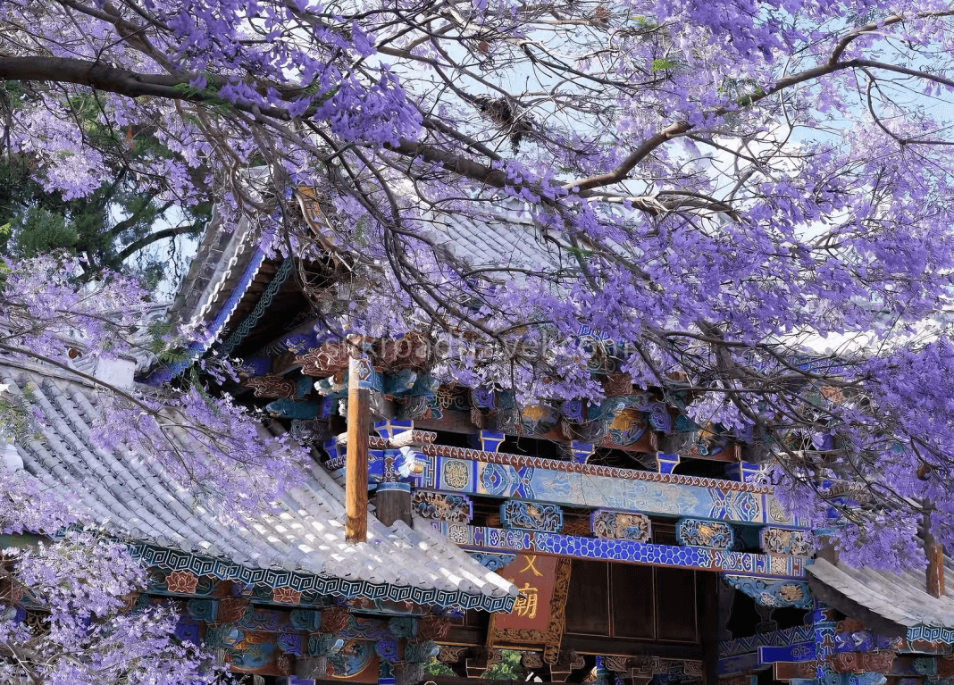 yunnan-tour-6 yunnan-tour-6
