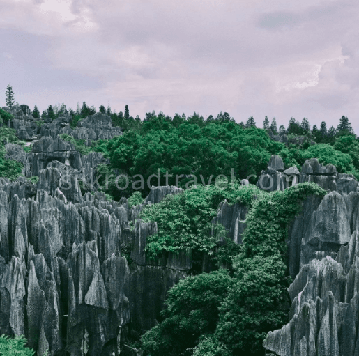 yunnan-stone-forest-2 yunnan-stone-forest-2