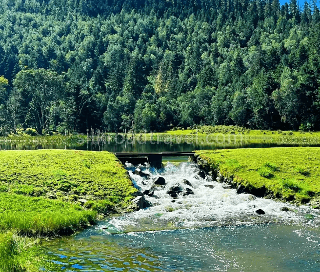 yunnan-pudacuo-national-forest-park yunnan-pudacuo-national-forest-park