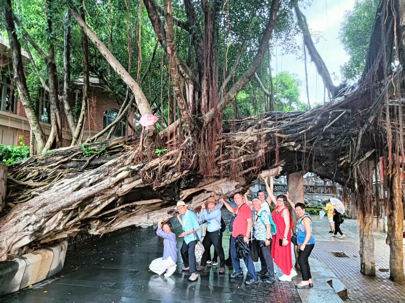 fujian-2