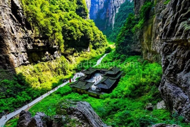11-days-shanghai-to-chongqing-china-nature-expedition 11-days-shanghai-to-chongqing-china-nature-expedition