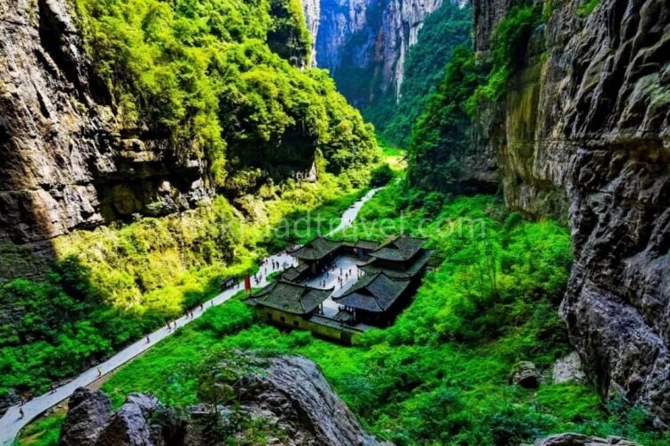 11-days-shanghai-to-chongqing-china-nature-expedition 11-days-shanghai-to-chongqing-china-nature-expedition