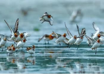 8-day-china-tour-to-wuxi-and-shanghai 8-day-china-tour-to-wuxi-and-shanghai