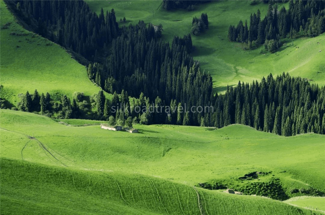 8-day-xinjiang-trekking-tour-kalajun-grassland-qiongkushitai 8-day-xinjiang-trekking-tour-kalajun-grassland-qiongkushitai