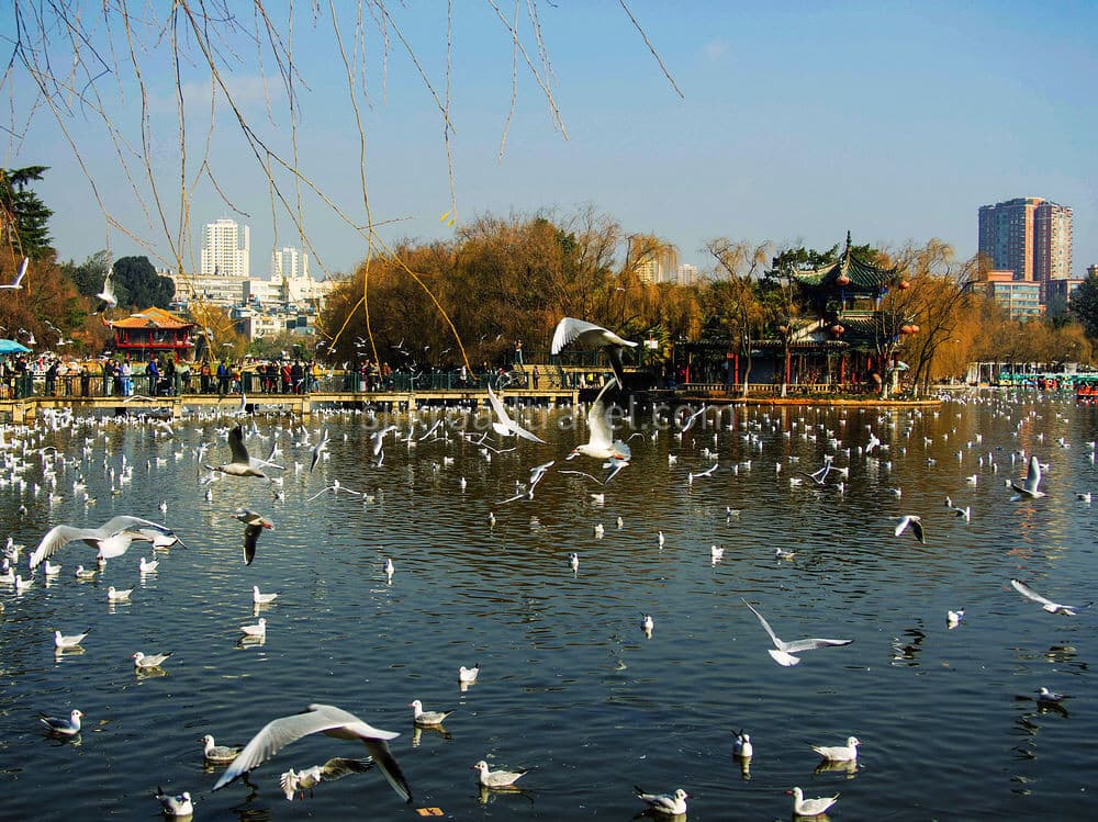 7-days-enjoyable-yunnan-tour-from-kunming-to-lijiang 7-days-enjoyable-yunnan-tour-from-kunming-to-lijiang