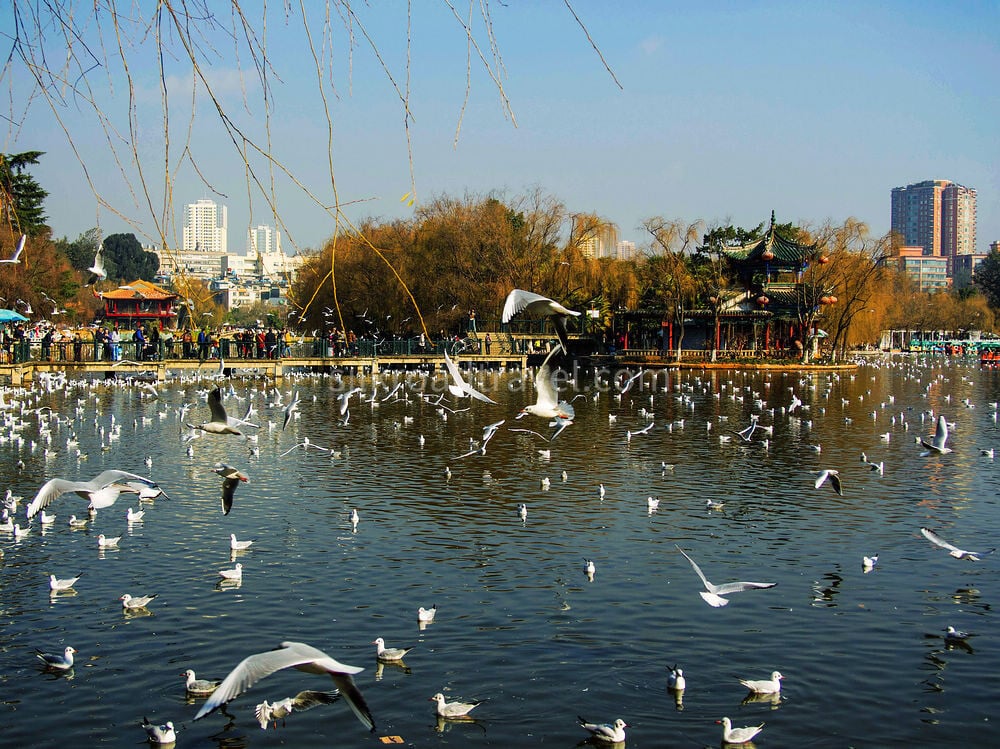 7-days-enjoyable-yunnan-tour-from-kunming-to-lijiang 7-days-enjoyable-yunnan-tour-from-kunming-to-lijiang