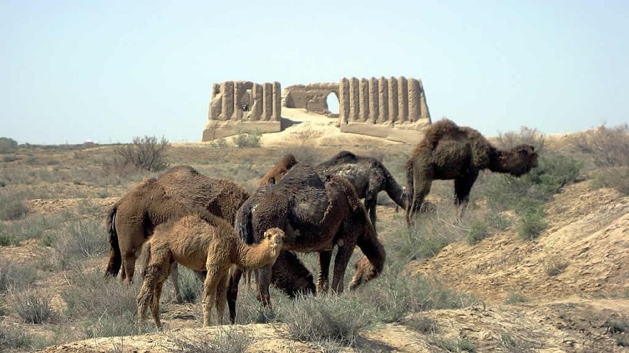 12-days-panoramic-turkmenistan-tour-in-and-out-from-ashgabat 12-days-panoramic-turkmenistan-tour-in-and-out-from-ashgabat