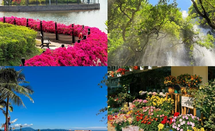 Best Time To Visit.jpg Best Time To Visit.jpg