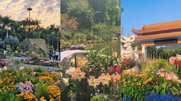 Fairy Lake Botanical Garden.jpg Fairy Lake Botanical Garden.jpg