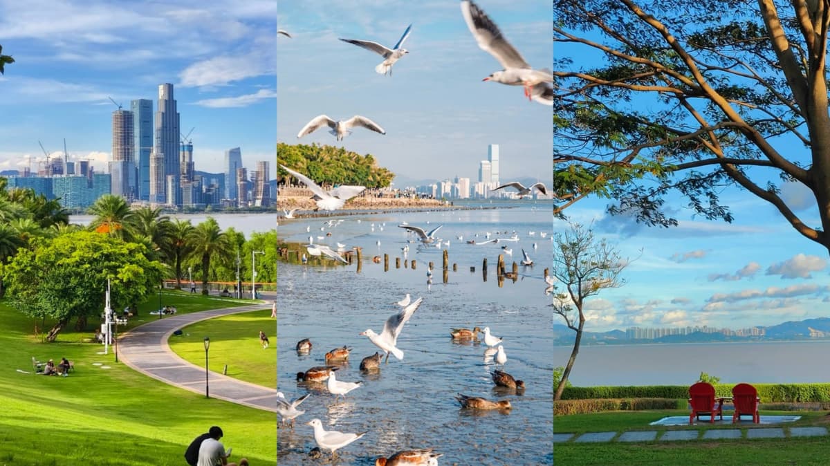 Shenzhen Bay Park.jpg Shenzhen Bay Park.jpg